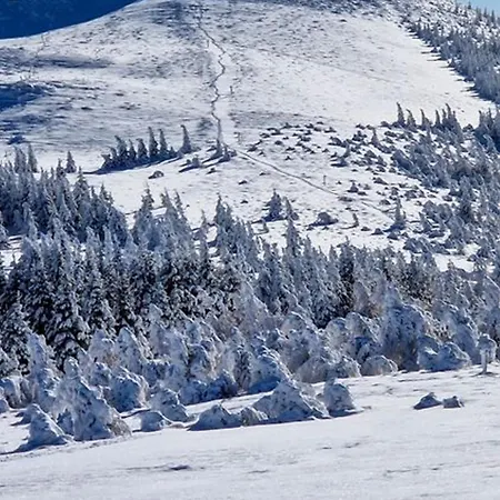 A Super Besse, Proche Pistes Et Commodites - Fr-1-814-35